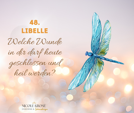 Eine bunte Libelle mit dem Text: "Welche Wunden in dir darf heute geheilt werden?"