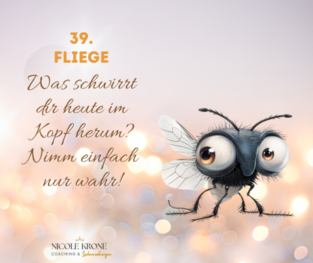 Eine cartoonhafte Fliege mit großen Augen und dem Text: "Was schwirrt dir heute im Kopf herum?"